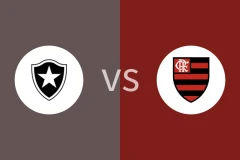 博塔弗戈RJ青年队vs弗拉门戈青年队比分预测分析 2025/11/02