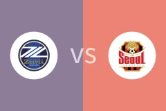 町田泽维亚vsFC首尔回放录像 2025/09/16