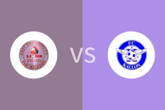 东端狮vsFC卡隆比分预测分析 2025/12/02