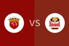 上海海港vsFC首尔回放录像 2025/11/25