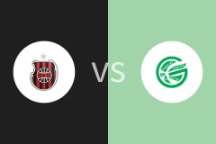 佩罗塔斯巴西vs高卓比分预测分析 2025/11/21