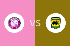 视觉FCvs科图科比分预测分析 2025/11/12