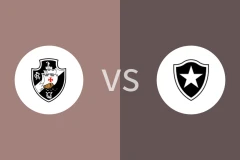 瓦斯科达伽马青年队vs博塔弗戈RJ青年队比分预测分析 2025/11/20