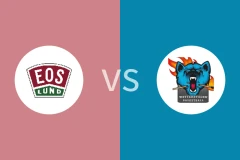 欧斯vs韦特比分预测分析 2025/12/14