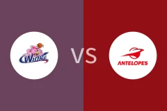 爱信飞翼女篮vs丰田羚羊女篮比分预测分析 2025/11/16