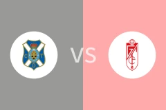 特内里费vs格拉纳达比分预测分析 2025/12/05