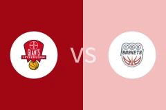 拜尔勒沃库森巨人vs沃尔米尔斯比分预测分析 2025/05/25