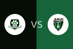 猎犬队vs欧洲足球俱乐部比分预测分析 2025/11/04