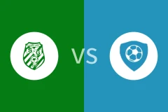 加贝申vs布舍哈曼比分预测分析 2025/11/02