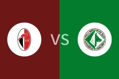 巴里vs阿维利诺比分预测分析 2025/12/28