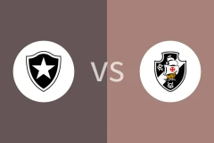 博塔弗戈vs瓦斯科达伽马比分预测分析 2025/11/06