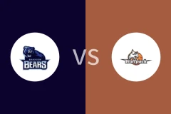 巴根熊vs哥本哈根狼队比分预测分析 2025/11/23