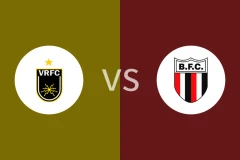 沃尔特雷东达vs博塔弗戈SP比分预测分析 2025/11/04