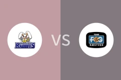 斯文堡格vs内斯提夫比分预测分析 2025/12/28