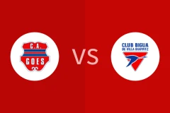 高尔斯vs比佳亚比分预测分析 2025/10/15