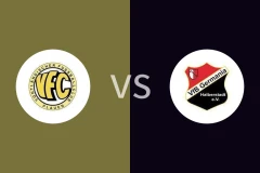 普劳恩vs哈尔伯施塔特比分预测分析 2025/11/02