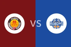 名古屋钻石海豚vs茨城机器人比分预测分析 2025/12/14