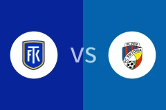 特普利斯vs比尔森比分预测分析 2025/11/03