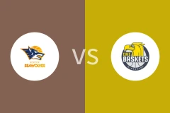 罗斯托克vs奥尔登堡比分预测分析 2025/11/02