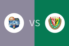 达布罗瓦戈尼vs斯拉斯克比分预测分析 2025/11/03