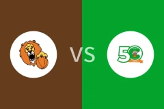 艾多瓦斯纳vs切尔克尼卡比分预测分析 2025/11/05