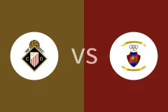 考达尔vs纳瓦罗比分预测分析 2025/12/22