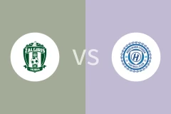 萨尔格里斯vs黑格尔曼比分预测分析 2025/11/03