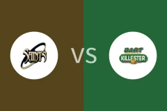 圣文森都柏林vs海王星科克比分预测分析 2025/11/23