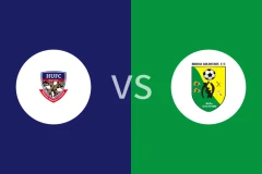 浩霍联合vs比比亚尼金星比分预测分析 2025/12/21