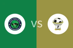 内格莱阿西vs韦尔瓦罗比分预测分析 2025/12/24