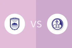 查多马卢阿尔达坎vs胡齐斯坦独立比分预测分析 2025/12/15