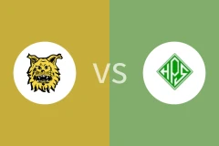埃尔维斯B队vsHPS比分预测分析 2025/07/13