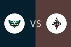 飞翼vs王牌回放录像 2024/09/20