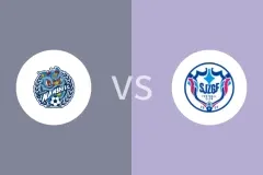 佛山南狮vs石家庄功夫回放录像 2025/11/01