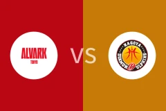 东京电击vs名古屋钻石海豚比分预测分析 2025/11/16