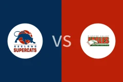 超级猫vs钻石谷鹰比分预测分析 2025/06/21