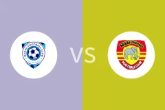 巴拉乌vs维克吉比分预测分析 2025/11/02