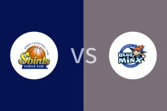 新韩银行大鸟女篮vs龙仁三星女篮比分预测分析 2025/12/29