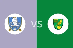 谢周三vs诺维奇比分预测分析 2025/11/06