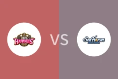 秋田北部喜悦vs三河海马比分预测分析 2025/12/14