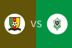 喀麦隆vs加蓬回放录像 2025/12/25