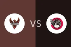 东莞新彤盛女篮vs武汉盛帆黄鹤女篮回放录像 2025/12/16