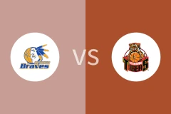 本迪高勇士vs墨尔本猛虎比分预测分析 2025/05/17