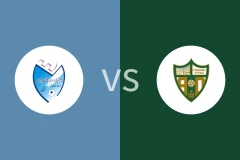 曼萨纳雷斯室内足球队vs科尔多瓦室内足球队比分预测分析 2025/11/03