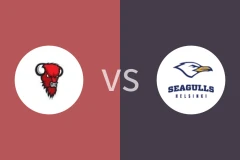 野牛vs赫尔辛基海鸥比分预测分析 2025/11/05