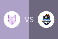 丘陵狼vs双城巨嘴鸟比分预测分析 2025/07/07