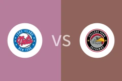 长岛篮网vs科利奇帕克天鹰比分预测分析 2025/12/29