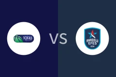 托法斯vs安纳托利亚艾菲斯比分预测分析 2025/11/23