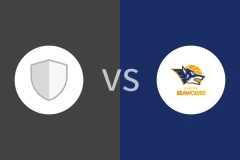 法尔科vs罗斯托克比分预测分析 2025/12/18