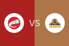 吉姆勒vs辛卓老虎比分预测分析 2025/12/15